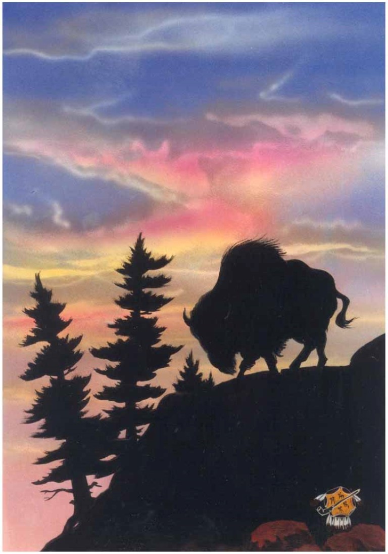 The American Bison, misnamed “Buffalo” by the early white man, was the most important animal to the plains Indian.  It provided him with everything he needed.